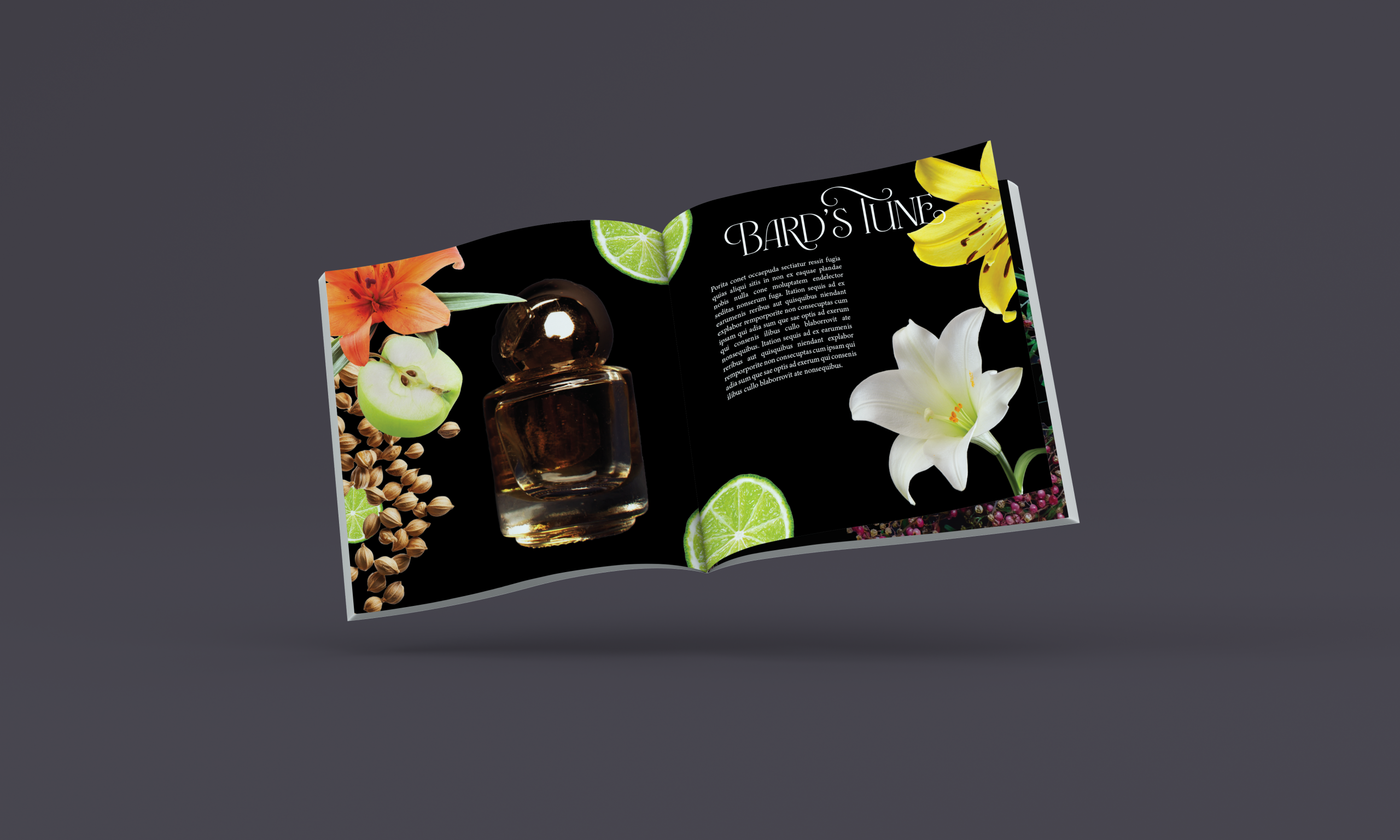 mockup of a brand catalog